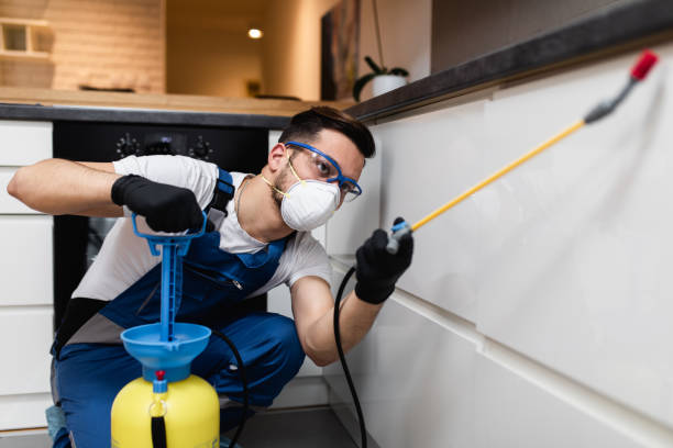 Best Affordable Pest Control Services  in Olney, MD