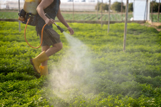 Best Ant Control Services  in Olney, MD