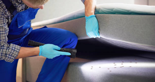 Best Insect Control  in Olney, MD