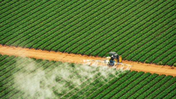 Reliable Olney, MD Pest Control Solutions