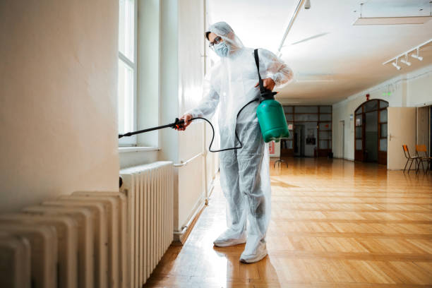 Best Termite Control Services  in Olney, MD